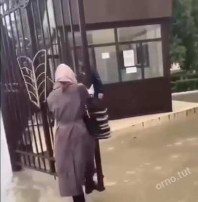 IQ 1000