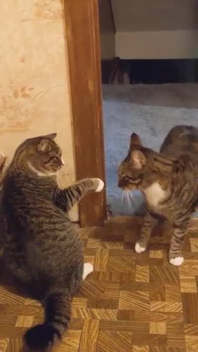 Slow slaps ?