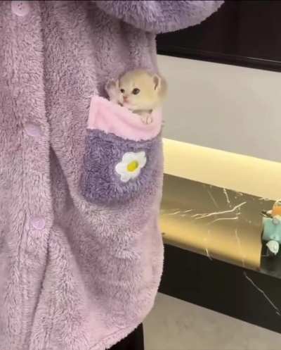 Michael has his own warm mobile home