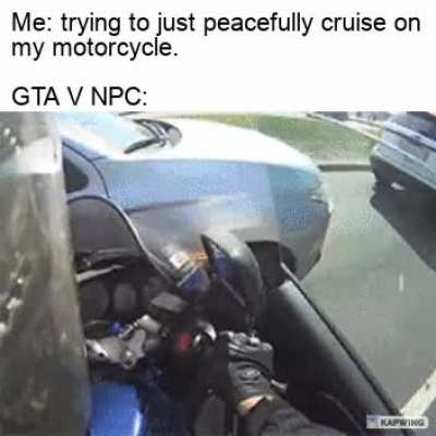 Fuck NPC'S all my homies hate NPC'S