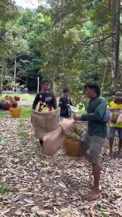 Catching durian at high speeds