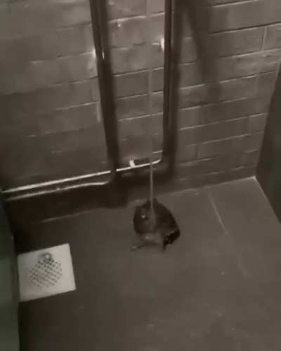 Maybe Maybe Maybe