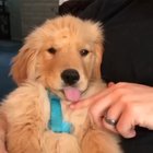How adorable is this?!