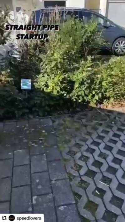 The neighbors will like