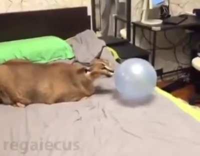 It wasn't supposed to be like that
