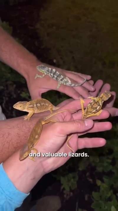 This dude with no fears