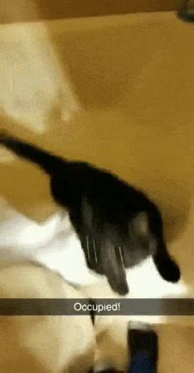 "Do you mind!? I'm trying to take a shower here!"...