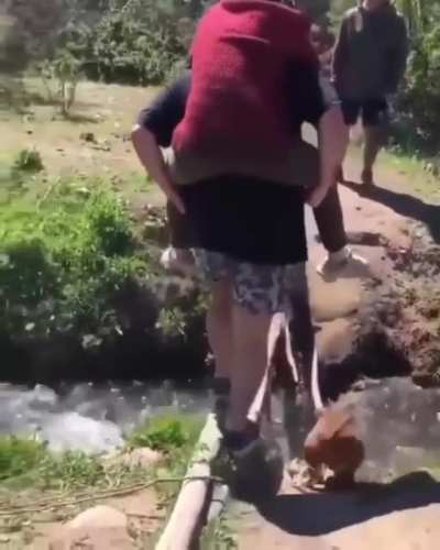 Double whammy