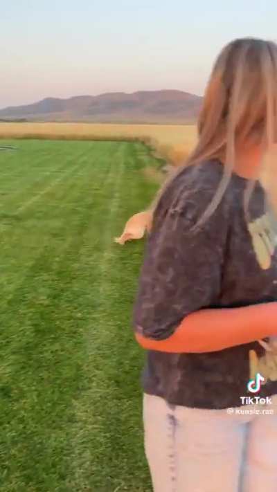 Nothing like a romp in the fields