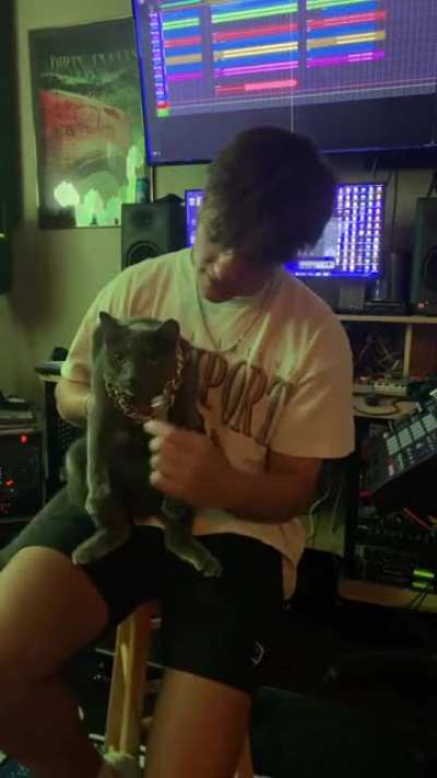 Kitty kat