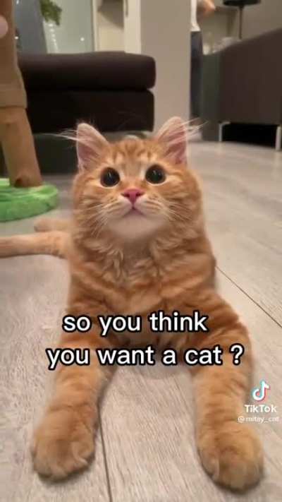 yep! ? ?