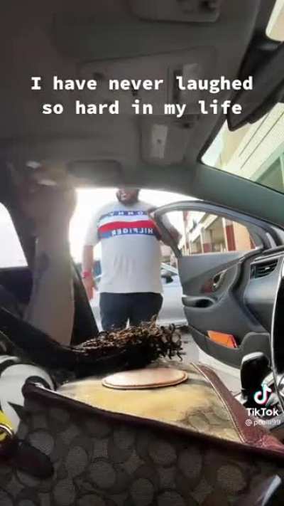 Fart spray prank…maybe spray a little less next time ?