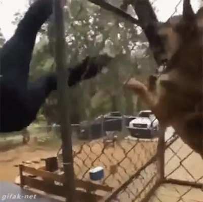 Impressive stunt