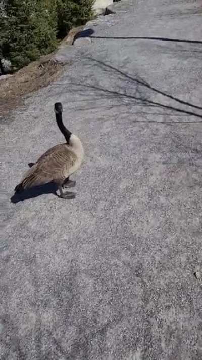 Just another day in canada.