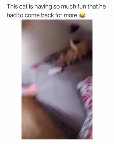 Maybe Maybe Maybe