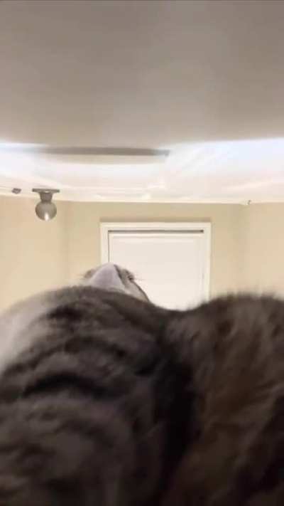 I see you