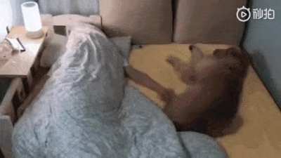 It's not a small bed..I just wanna cling to you