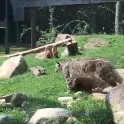 Sneaking up on mom