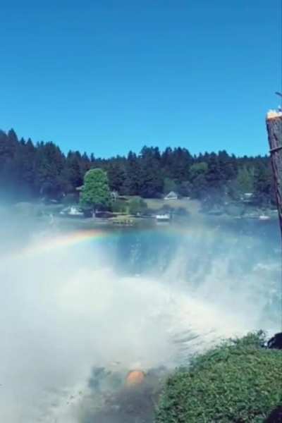 Rainbow splash