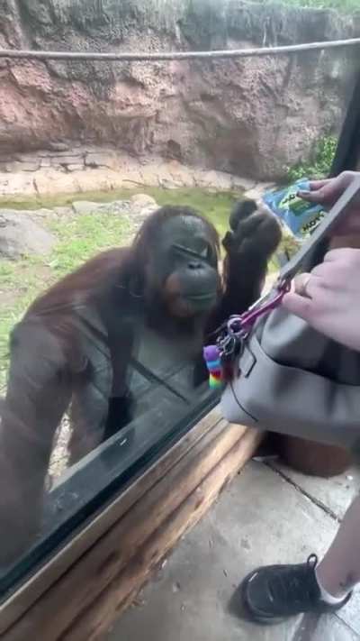 Maybe maybe maybe