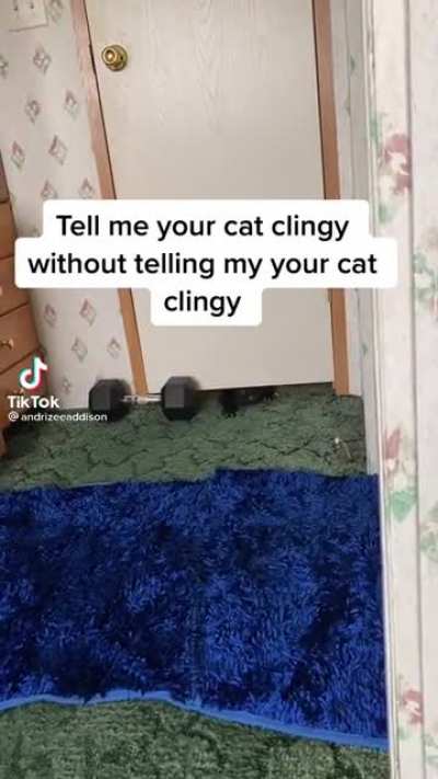 Only heard of rats doing this