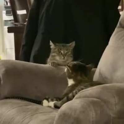 Maybe maybe maybe