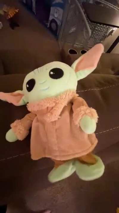My son got a talking Yoda that repeats anything it hears. Best toy ever.