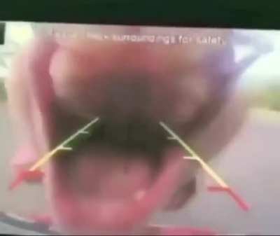 Yummy Dashcam