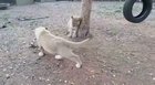 Sharing is caring