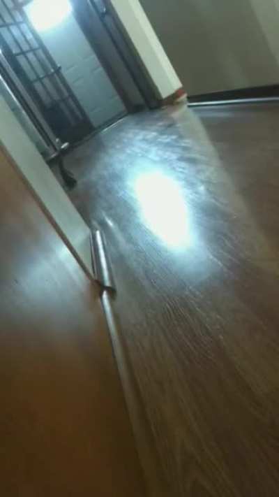 Double startled