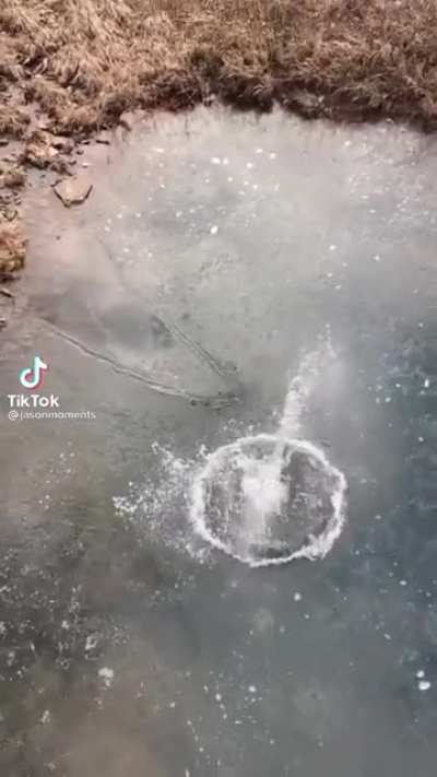 The splash was satisfying enough… but the wave ?
