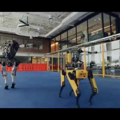 Robots at Boston dynamics got some nice moves...?