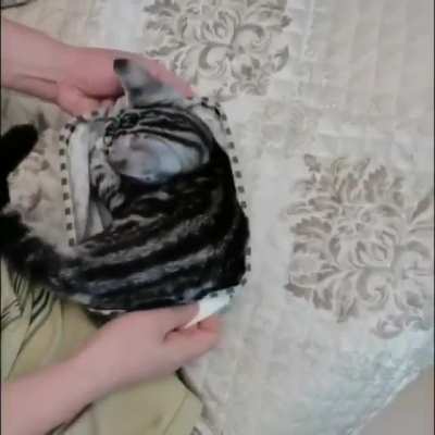 Autopacking ?