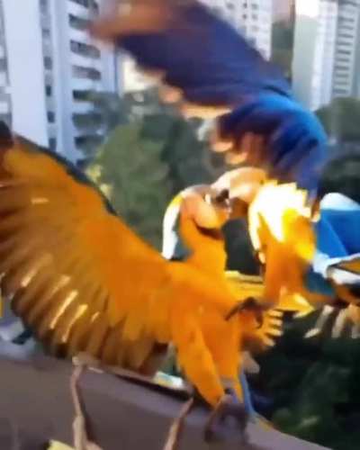 Maybe Maybe Maybe