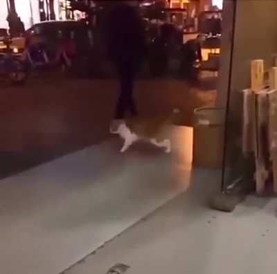 Moonwalk