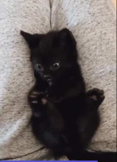 There’s a foot? There’s another foot? What?