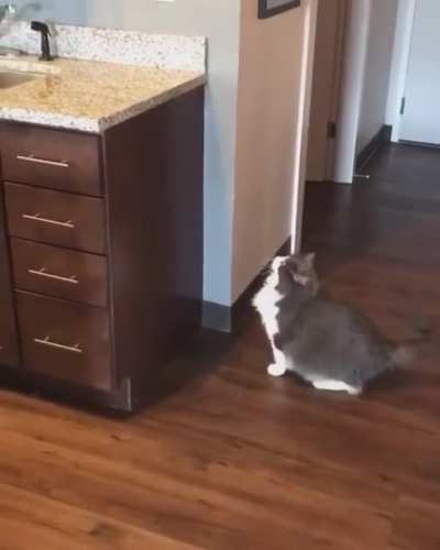 Perfect jump