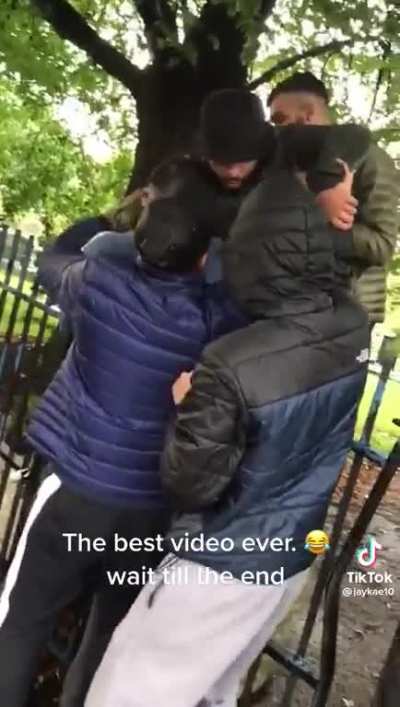 Trying to get your boy to jump over the fence.