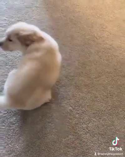 ♫ Turn Around ♫