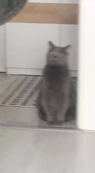 ???
