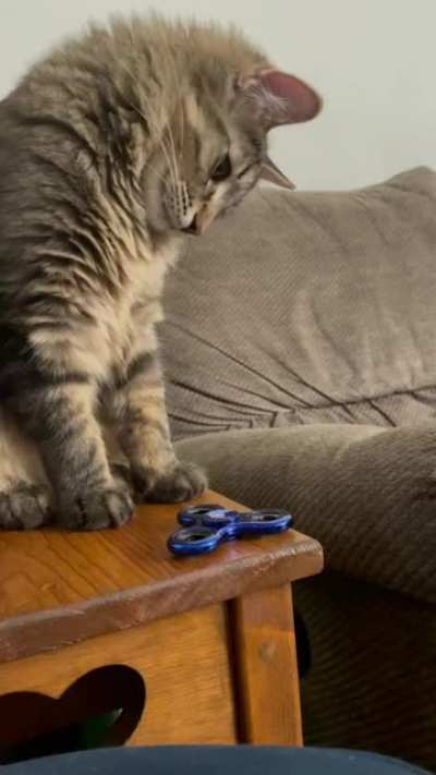 Fidget Spinner Taps