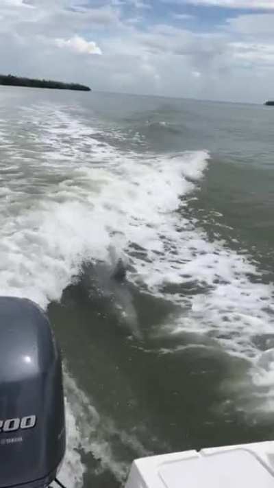 My mom sent me this video from their boating trip today