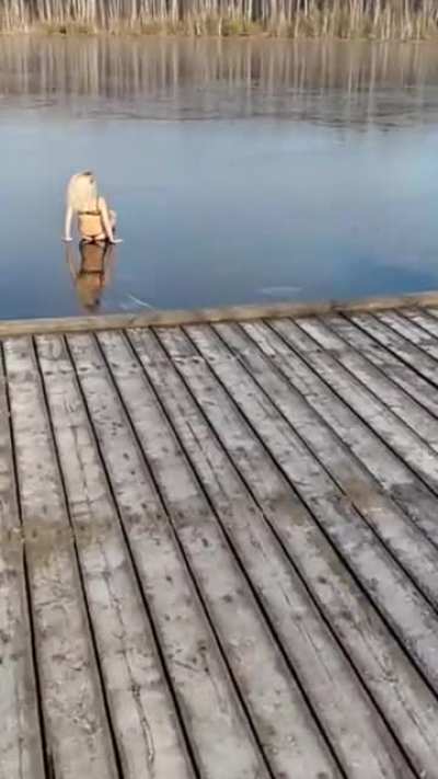 maybe maybe maybe