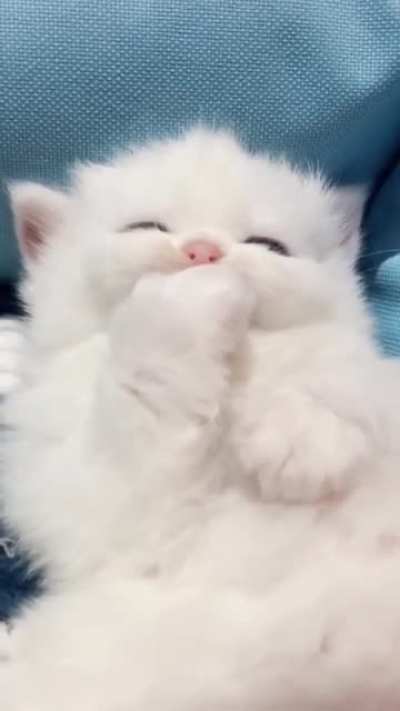 Sweet baby! ?