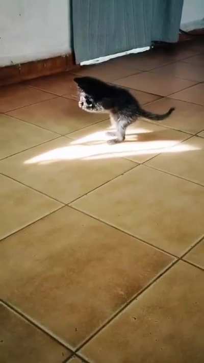 Just discovering the world