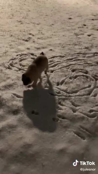 Just writing in the snow