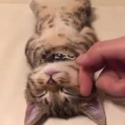 Don't disturb me while I'm at the SPA. ?