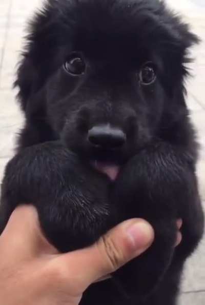 I don't care what he wants. Just give it to him.