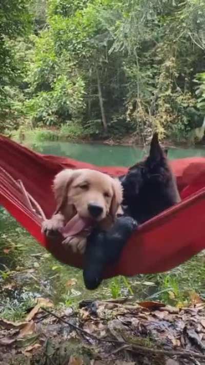 Best buds