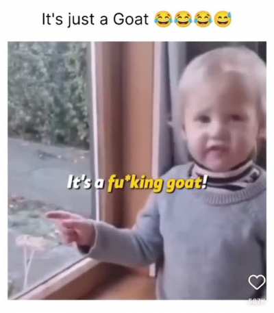 It’s just a goat.. or is it?